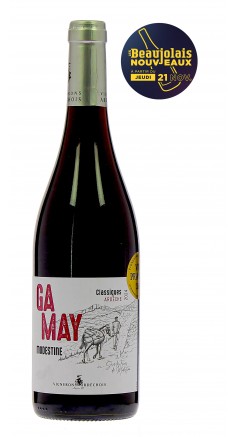 Gamay Modestine